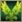 Blessed Reward 6.jpg